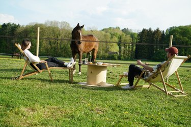 Tiny House Le Paddock | Au milieu des chevaux ! à Chambly (3)