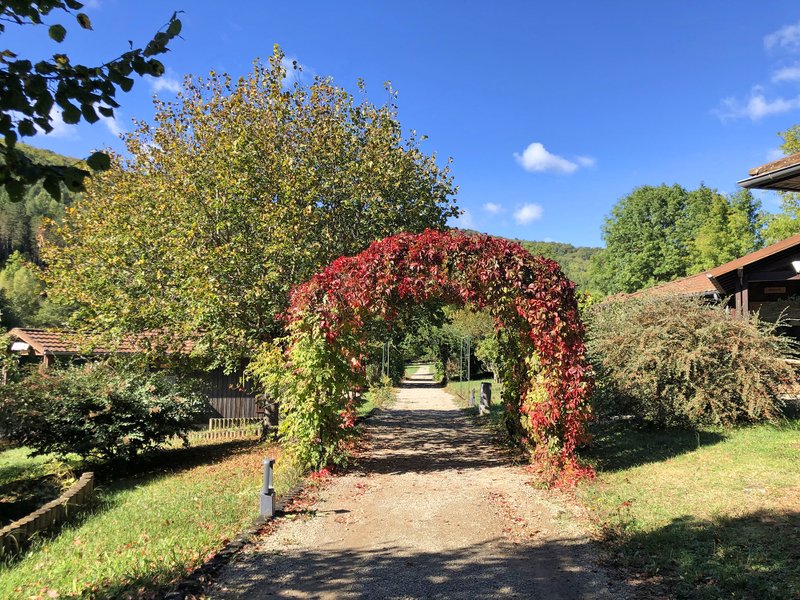 Domaine AbracadaRoom : Cosy Nature - Image 3