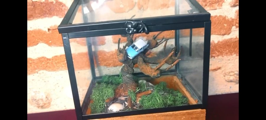 Hébergement AbracadaRoom : Le Sanctuaire des Sorciers - Image 15