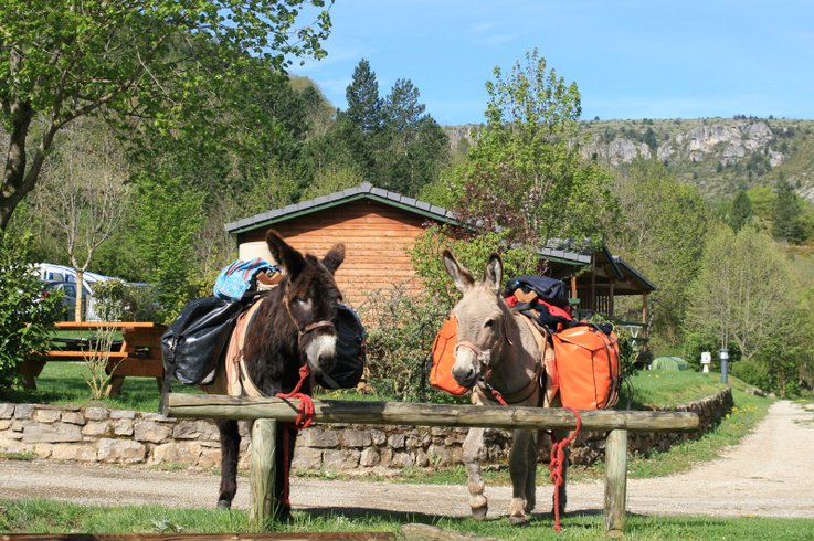 Domaine AbracadaRoom : Camping la Cascade - Image 4