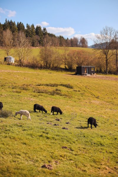 Hébergement AbracadaRoom : Parcel Tiny House - à 1h de Lyon - Image 4