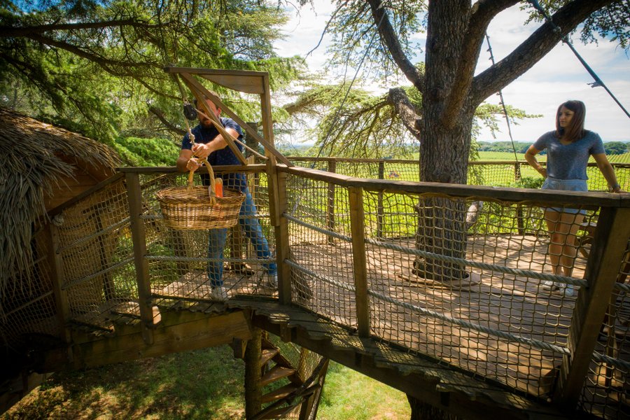 Hébergement AbracadaRoom : Crécerelle - Image 10