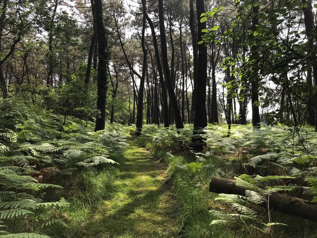 Hébergement AbracadaRoom : La Cabane Spa de Pêcheur - Image 12