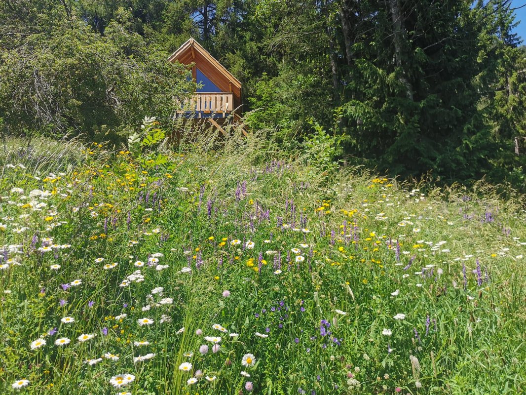 Cabane "Les terres blanches" à Le Lauzet Ubaye (1)