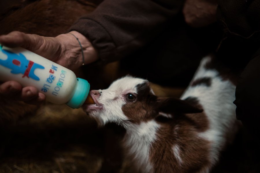 Hébergement AbracadaRoom : Parcel Tiny House - au coeur de la Provence proche Marseille - Image 12