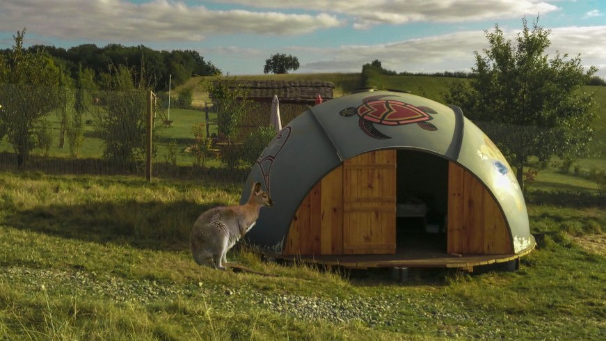 Hébergement AbracadaRoom : Hutte au milieu des wallabies n°4 - Image 1