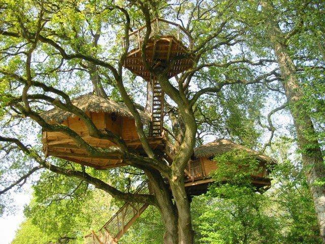 Hébergement AbracadaRoom : Chêne Fou - Image 9