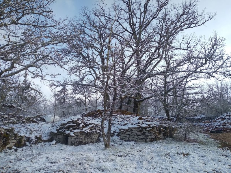 Domaine AbracadaRoom : Il était une fois... au cœur de nos bois - Image 7