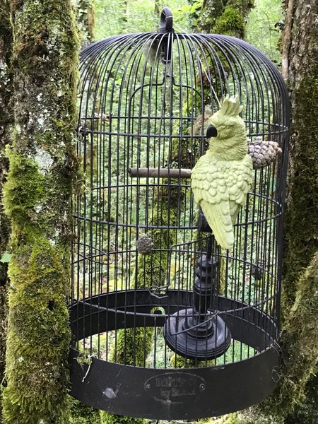 Domaine AbracadaRoom : Arborea - Image 18