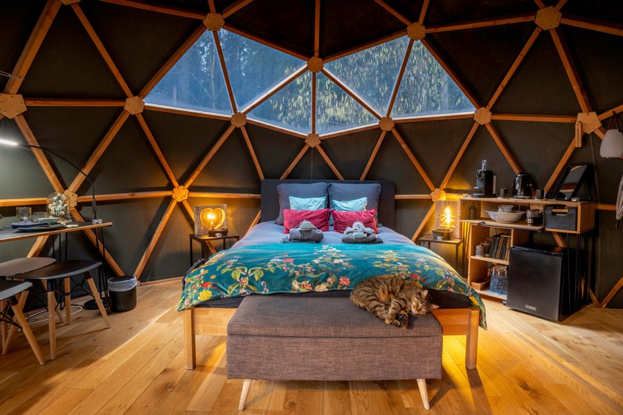 Hébergement AbracadaRoom : Dôme au milieu des Alpagas - Image 13