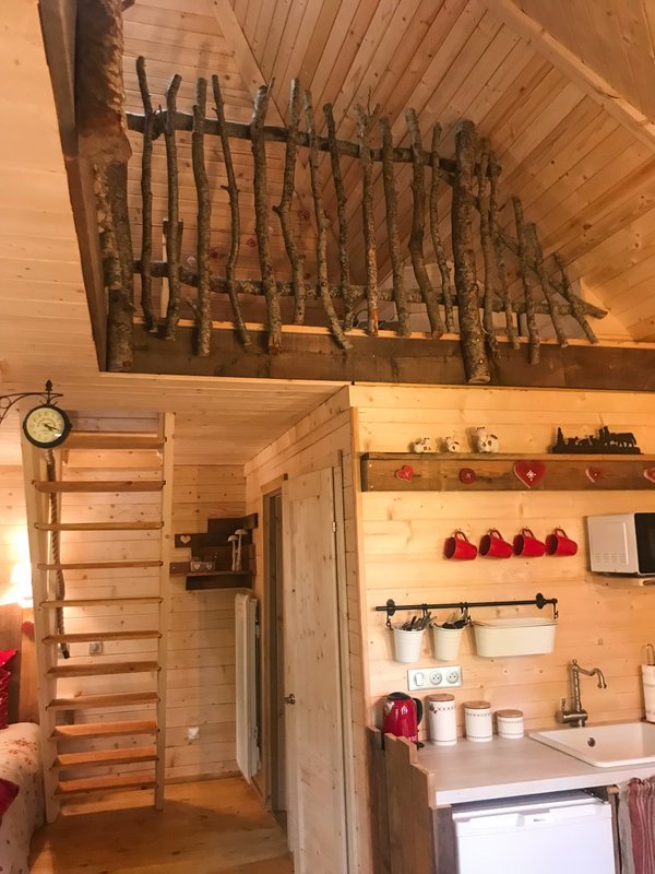 Cabane Spa Les Elfes à Saint Léger Les Mélèzes (8)