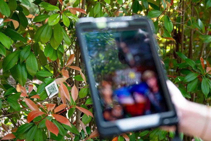 Hébergement AbracadaRoom : La Tour de Raiponce & Spa - Image 28