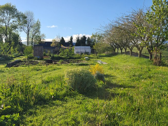 Hébergement AbracadaRoom : Yourte Pyrénées - Image 19