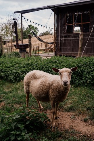 Domaine AbracadaRoom : Un Lit Au Pré - La ferme de la Flocellière - Image 7