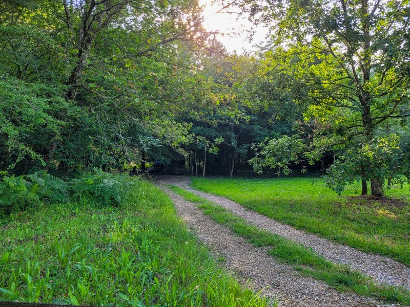 Domaine AbracadaRoom : Tiny House Lumen - Image 4