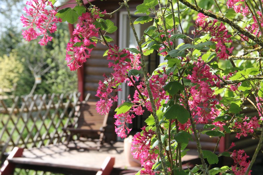 La Roulotte Kala et son spa jacuzzi — photo 2
