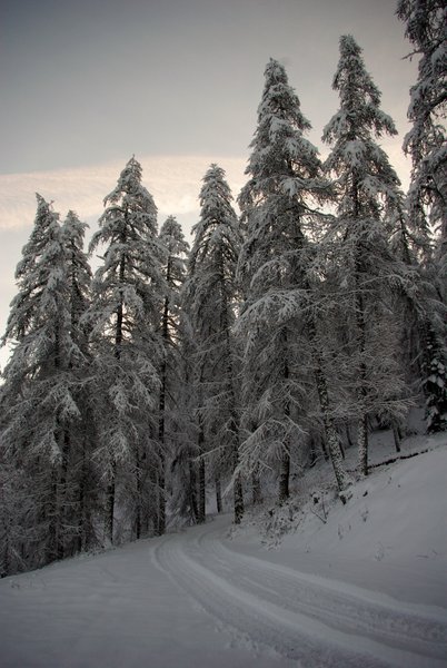 Domaine AbracadaRoom : Yourte de Montagne de Ratery - Image 3