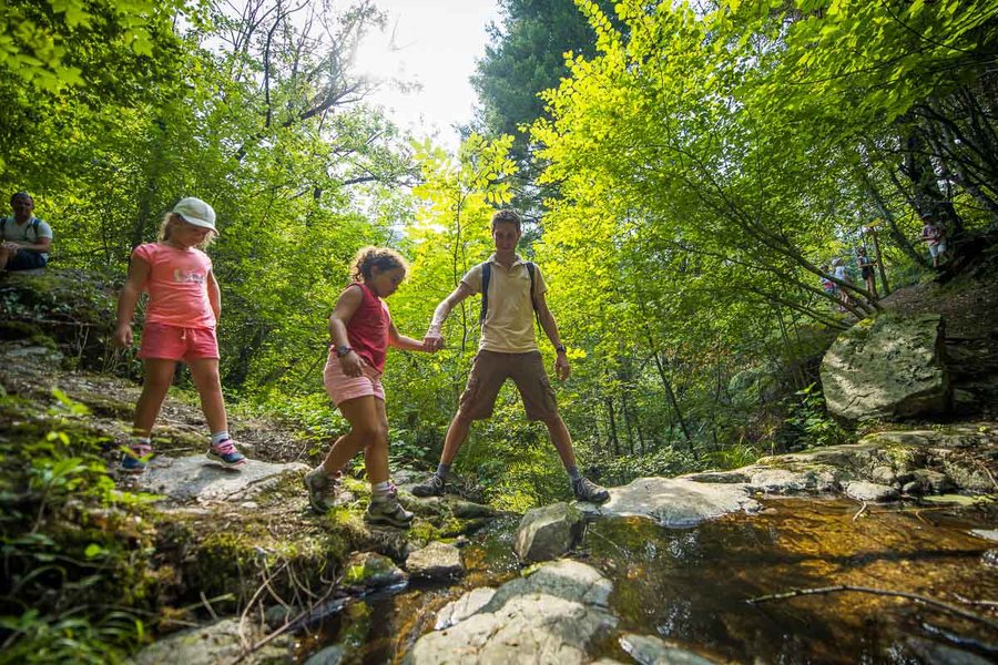 Domaine AbracadaRoom : Bivouac nature - Image 9