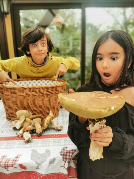 Hébergement AbracadaRoom : La Cabane du Héron, lodge sur pilotis, étang, nature, biodiversité - Image 26