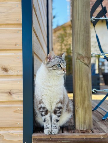 Hébergement AbracadaRoom : Tiny house des 4 vents & Bain nordique - Image 13