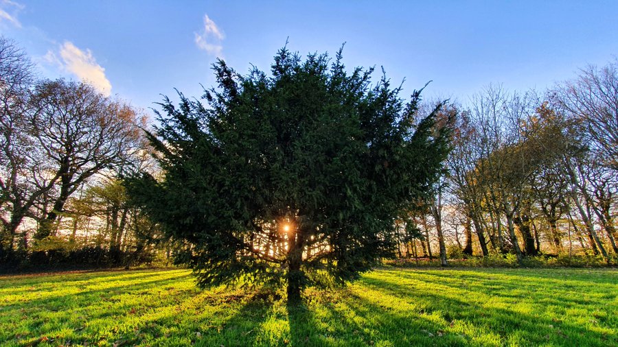 Domaine AbracadaRoom : Jardin Zen du Quistillic - Image 3