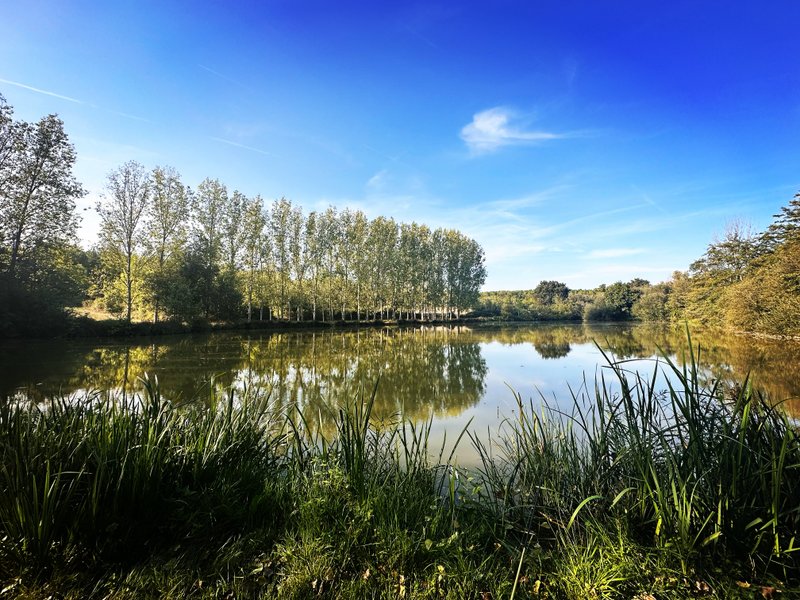 Domaine AbracadaRoom : Damona Lodges - Image 3