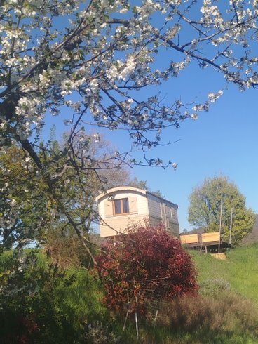 Domaine AbracadaRoom : RIALYS - Image 19