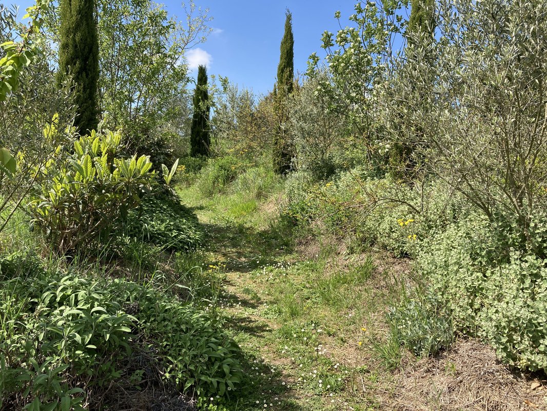 Cabane Miel et Coton -  spa privatif à Villarzel Du Razès (24)