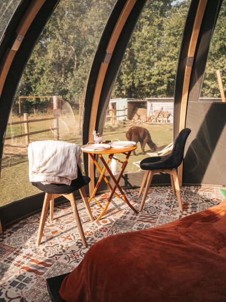 Hébergement AbracadaRoom : Les alpagas du clos - Image 11