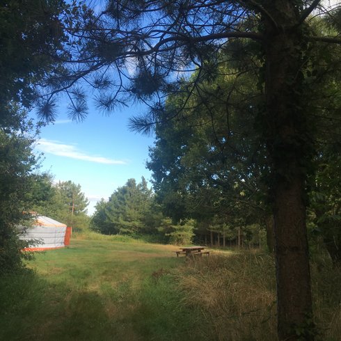 Hébergement AbracadaRoom : Yourte en pleine nature - Image 8