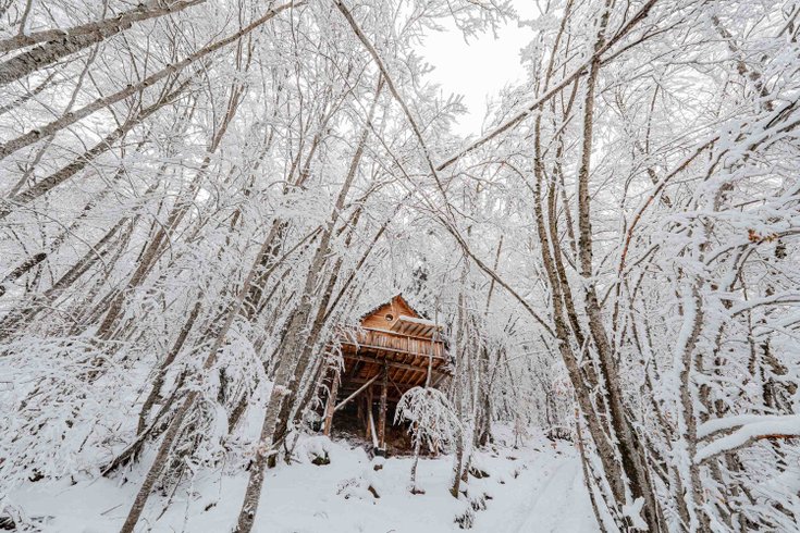 Domaine AbracadaRoom : Les Cabanes Enchantées - Image 1