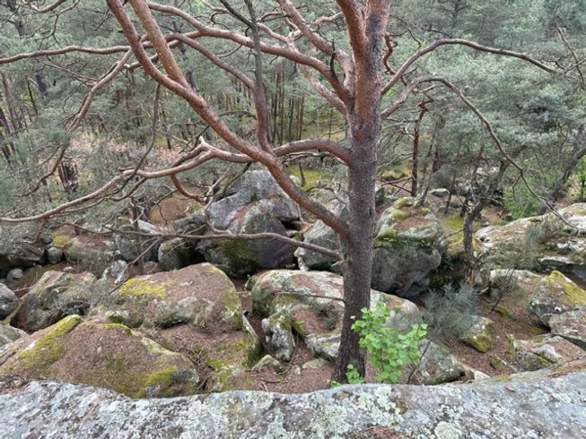 Domaine AbracadaRoom : Paley de l'éden - Image 14