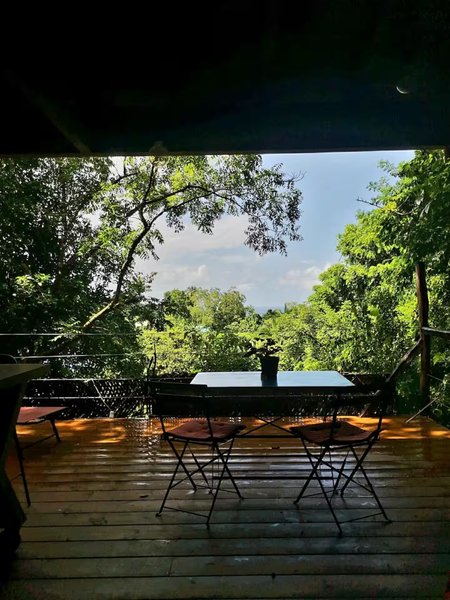 Domaine AbracadaRoom : Les cabanes entre les arbres de Lydie - Image 2