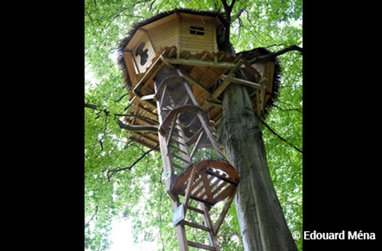 Hébergement AbracadaRoom : Grand Hêtre - Image 4