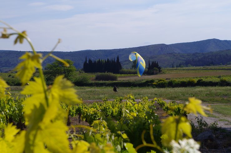 Domaine AbracadaRoom : Domaine La Peiriere - Image 14