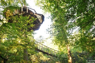 exterieur-amazonie-cabane-belle