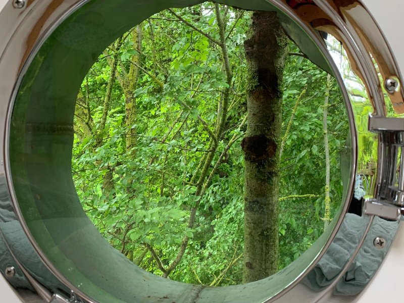 Hébergement AbracadaRoom : Nid de Pie - Image 23