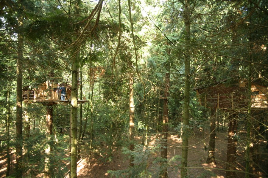 Hébergement AbracadaRoom : Cabane Tyrolienne n°8 - Image 9