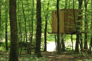 Cabane dans les arbres Jura