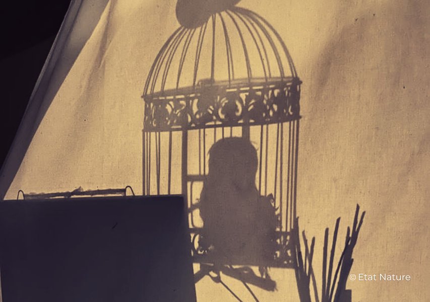 Hébergement AbracadaRoom : Le gîte Harry Potter - Image 17