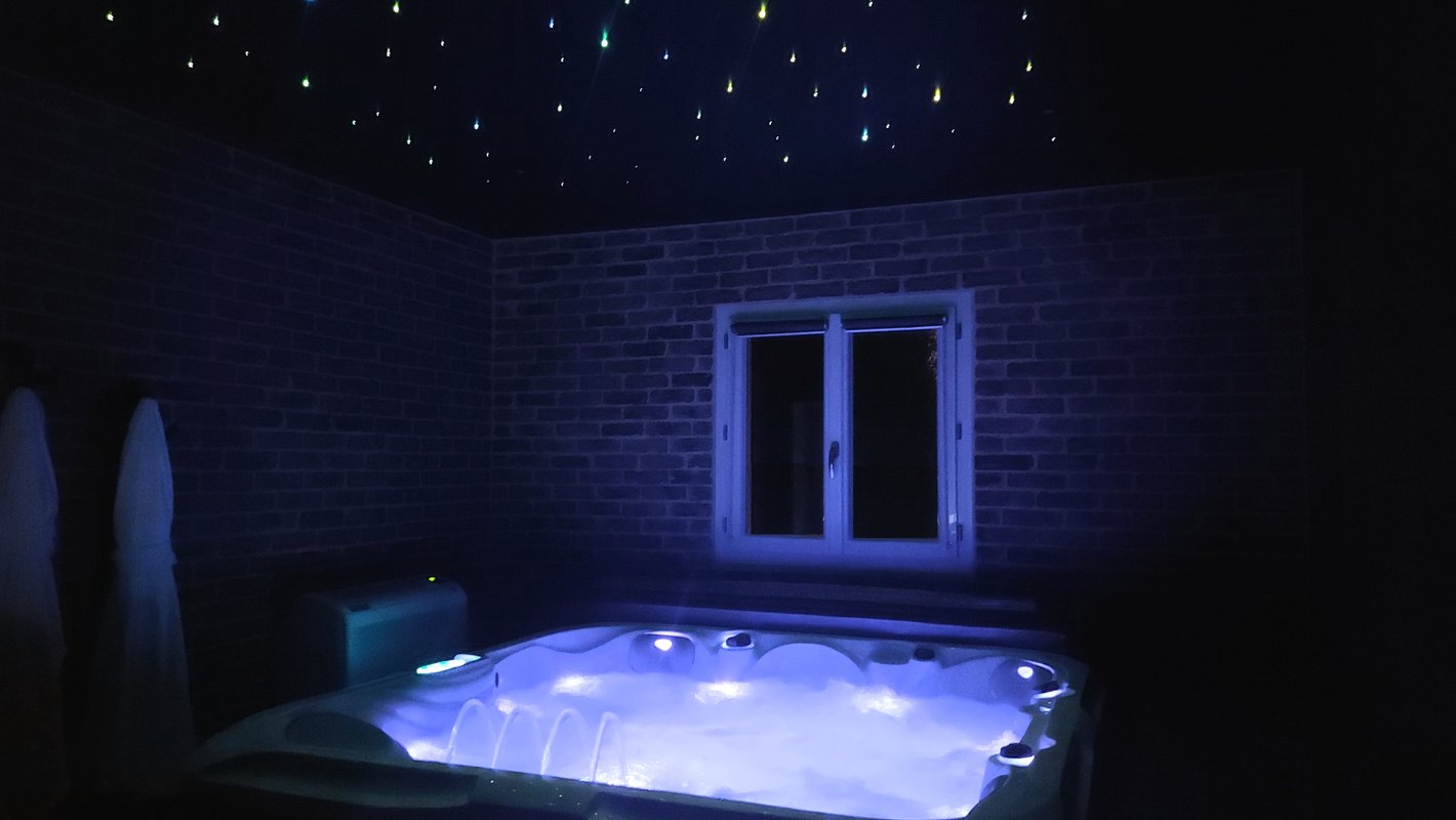 Gîte Loft & Spa privatif à Saint-Chamassy (13)