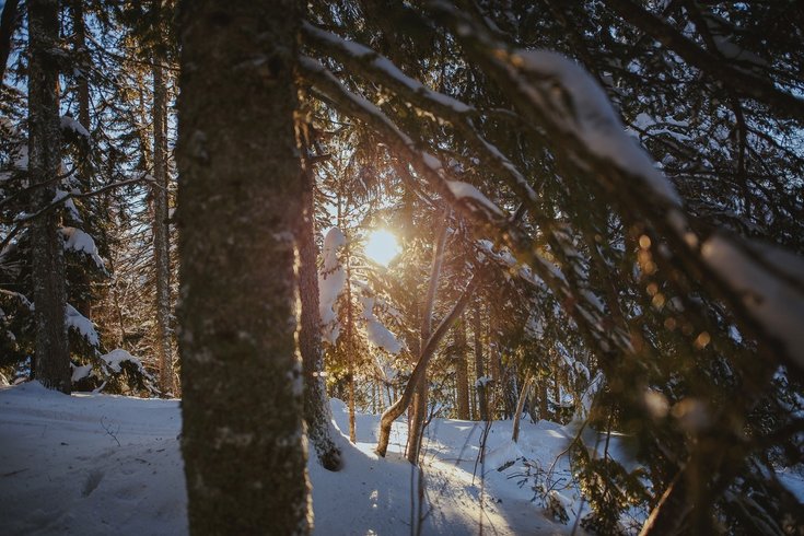 Domaine AbracadaRoom : Cabanes Chartreuse insolite - Image 5