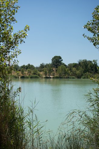 Domaine AbracadaRoom : Cabanes des Grands Cépages - Image 9