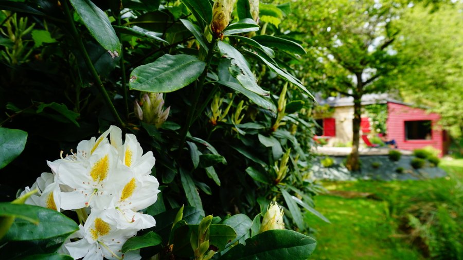 Domaine AbracadaRoom : Gîte L'extase - Image 12