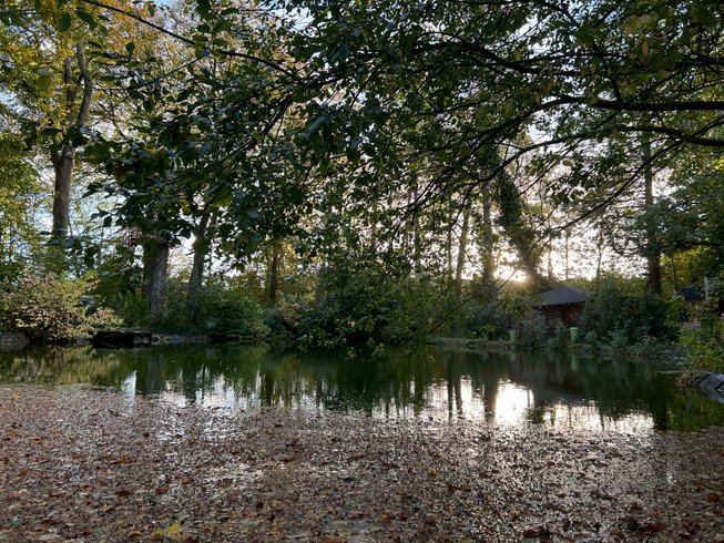Domaine AbracadaRoom : Le domaine de Wail - Image 6