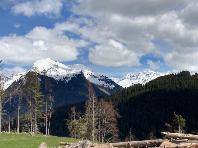 Domaine AbracadaRoom : L'instant Yourte - Image 3