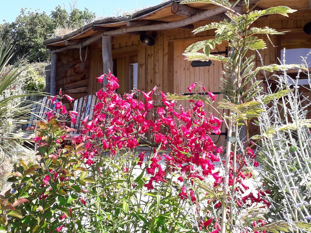 Maison  du Hobbit avec spa privatif à Villarzel Du Razès (21)