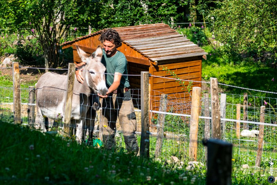 Domaine AbracadaRoom : Ferme Jean des Houx - Image 3