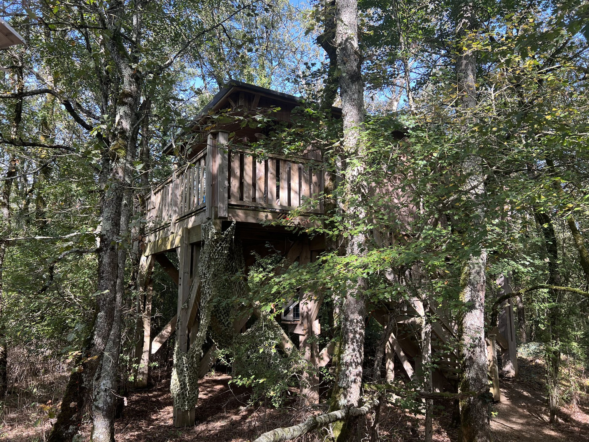 Cabane Perchée Jurassic
