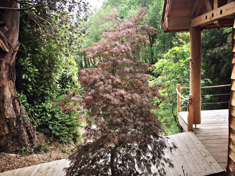 Domaine AbracadaRoom : Maison Blanche ETXE XURIA Côte Basque - Image 5